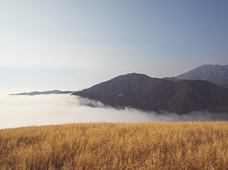 Estate Planning Overview